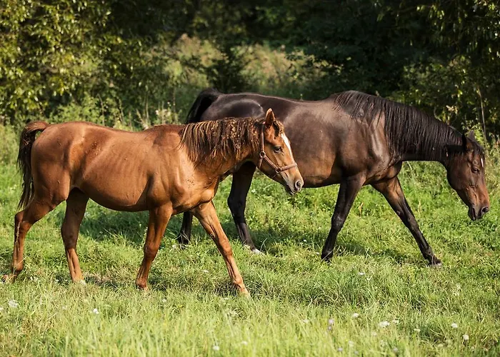 Agroturismo Zielona Dolina
